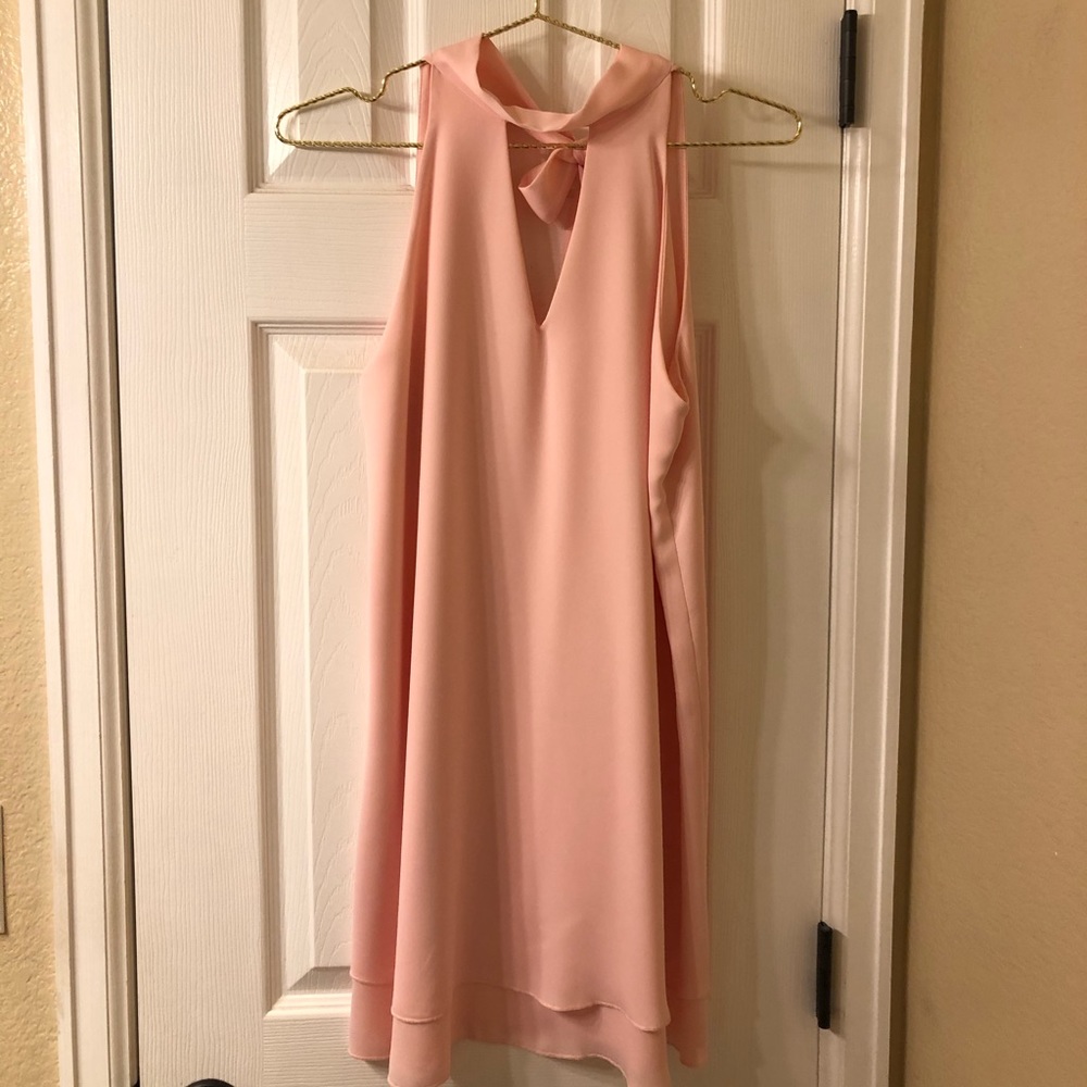 Pale Pink Impressions Mini Dress